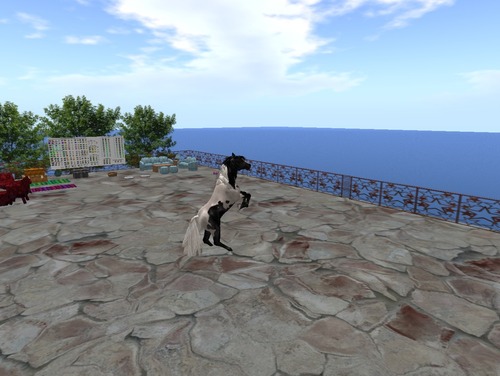 Web 523c6879d16a2e224a000001