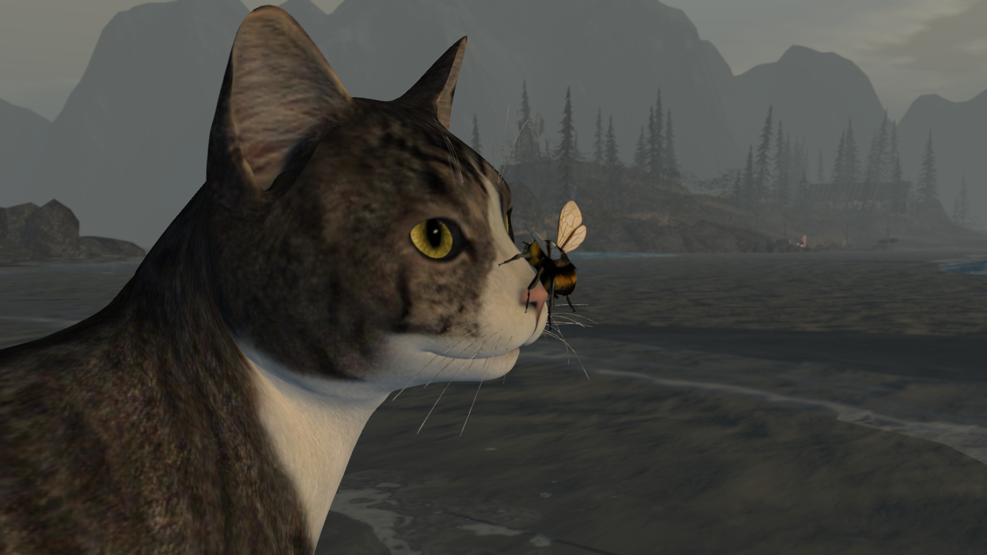 Original 5ee36ad373ed171eb00b91b2