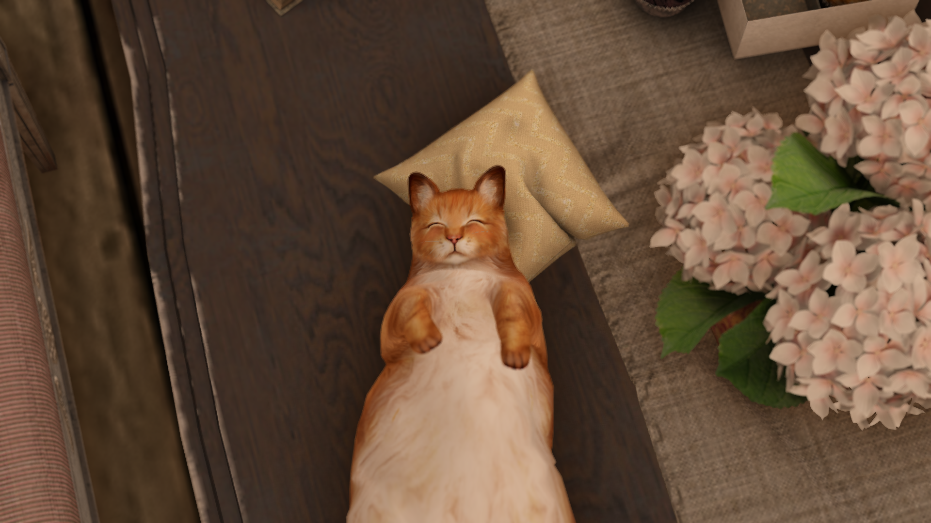 Original 5ee44515289dd275c8a116f6