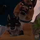 Thumb 5ebf821a73ed17133af3fecf