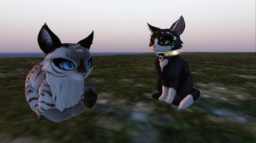 Web 5e6a117ad9859c5c3f99402e