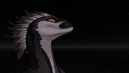 Web 5e981629d774f87a2689ec7c