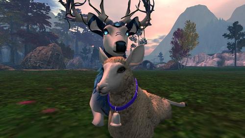 Web 5ee033bf289dd23571c41038