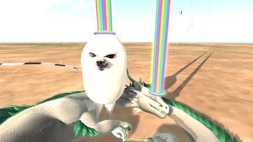 Web 5ee1d8df289dd213e5c41038