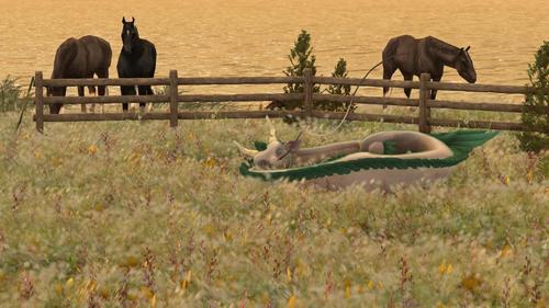 Web 5ee4383c289dd208b3e7d9da