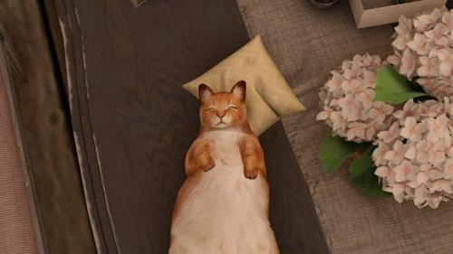 Web 5ee44515289dd275c8a116f6