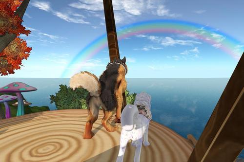 Web 6132a9719359e03f00e59619