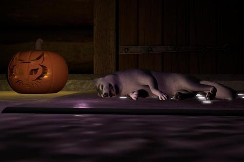 Web 6177742b5c4aff73f2ff7eba