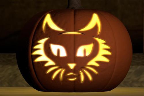 Web 617775affc69d610888a4028