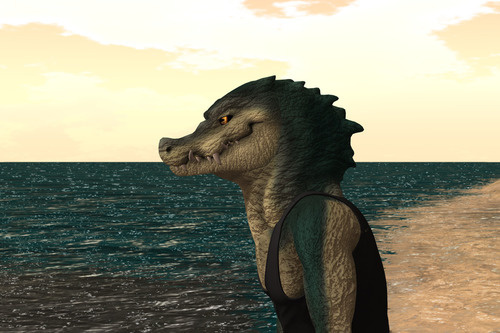 Web 6413cceb2b47cb55c080c7c6