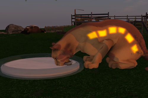 Web 64191d2005423f55b307fc00