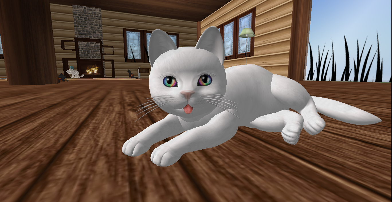 Original 5303172cf8a1ec3673000001