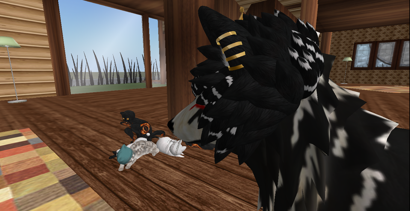 Original 5303b0e6128cc95ea1000001