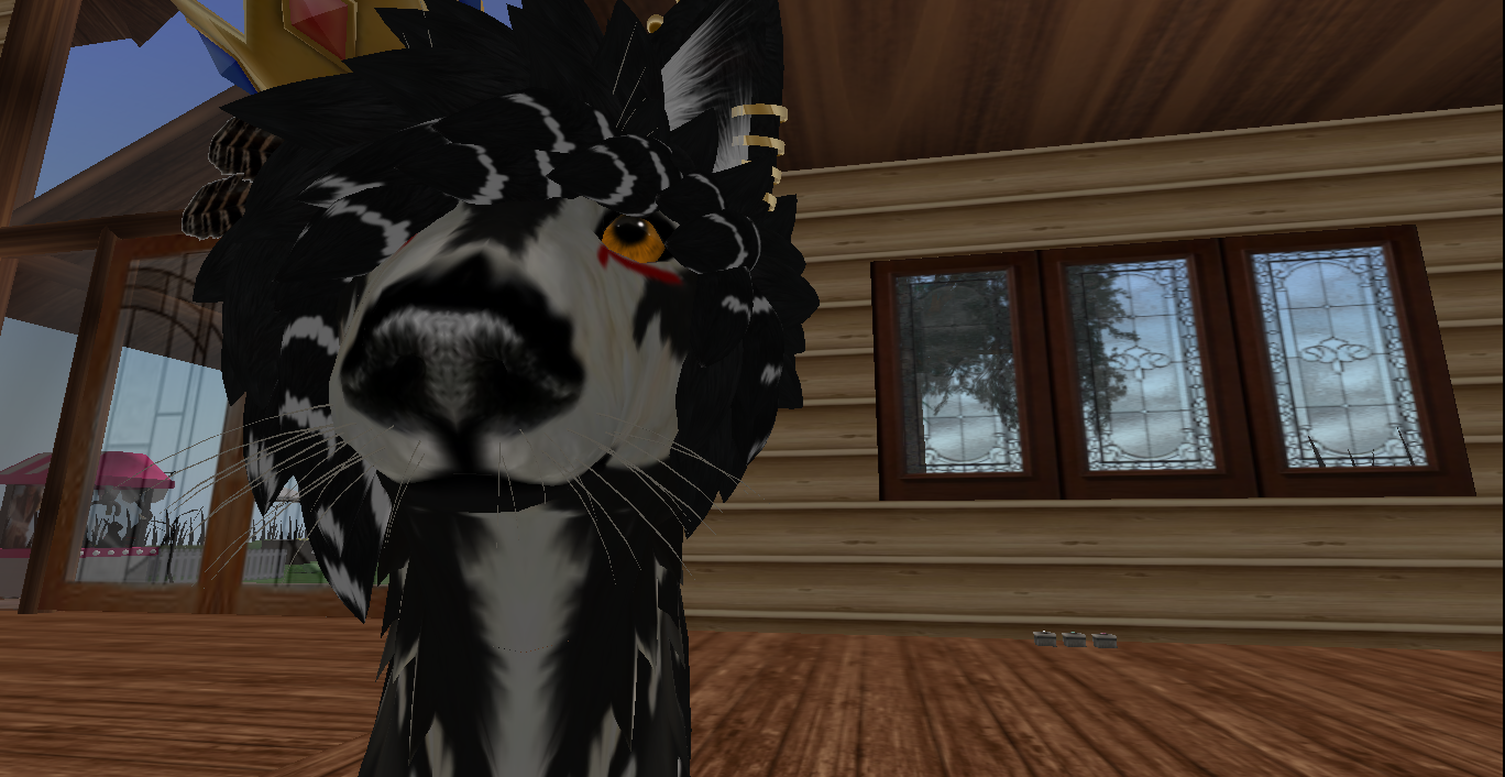 Original 5303b14c8da5722f26000001