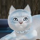 Thumb 50e185af01b5112396000001