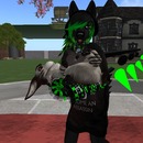 Thumb 50e2f5354343070c85000001