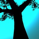 Thumb 50e2f91dcb821d0ef9000001