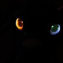 Thumb 50e4095aabeea3017e000001