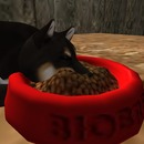 Thumb 50e579314b6cf434ba000001