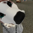 Thumb 52ecb510a73e213e04000001