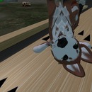 Thumb 52f47106128cc91efe000001