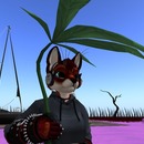 Thumb 52f772f38da572369a000001