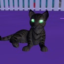 Thumb 52f80e8d8da5721323000001