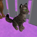 Thumb 52fdee858da5722b2c000001