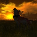 Thumb 5355b5c6128cc92b75000001