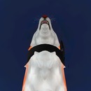 Thumb 5355dfdda73e217afb000001