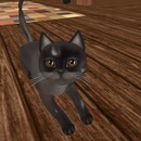 Thumb 5358c944f8a1ec0a7e000001