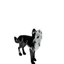 Thumb 535df2f0a73e213719000001