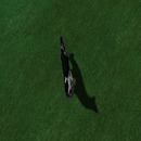 Thumb 535e8366f8a1ec318a000001