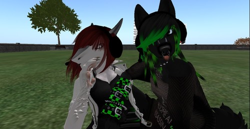 Web 50e56ec6b918e5553a000001