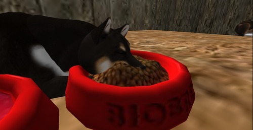 Web 50e579314b6cf434ba000001