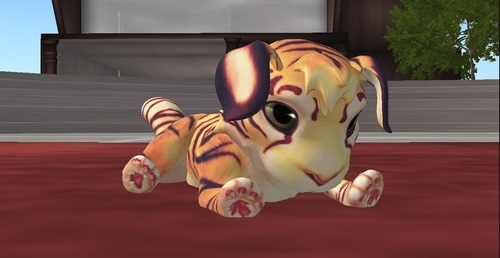 Web 50e6a8d00b537e146e000001