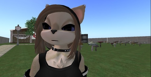 Web 50e6ecb7911a892bb5000001