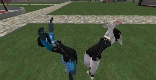 Web 50e7f8c50cd6990aa9000001