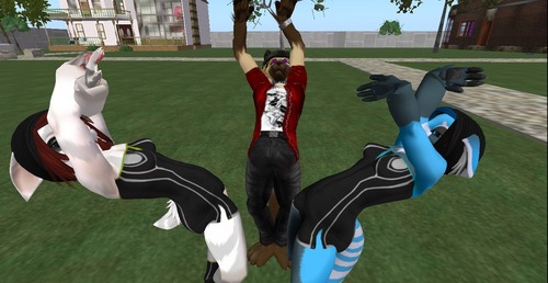 Web 50e7f905dc71a915fe000001