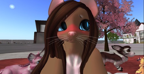 Web 50ea6be8b4839711f8000001