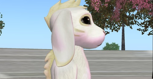 Web 50eded18fddab05373000001