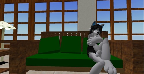 Web 50f1208641b586609a000001