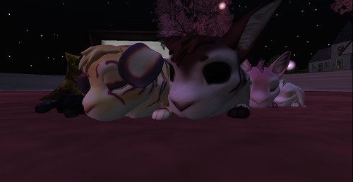 Web 50f13161d2d06e1ae4000001