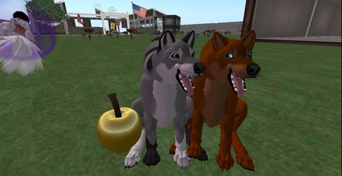 Web 50f21dcdf8005a65ee000001