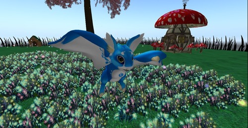 Web 50f2720e21260f7f79000001