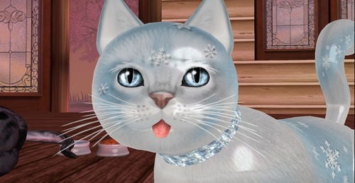 Web 50f35b234cdaad338a000001