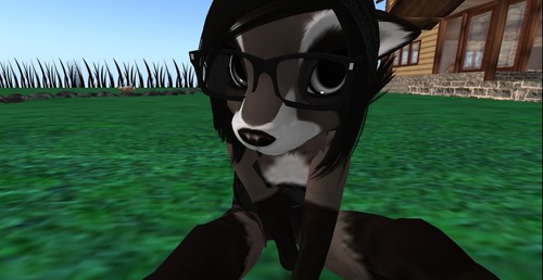 Web 50f4e3e6b9233301e6000001