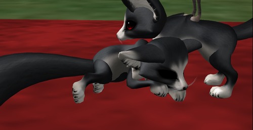 Web 5102f62a9750686291000001