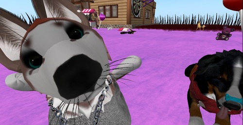 Web 52edb301128cc95746000001