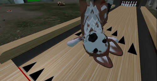 Web 52f47106128cc91efe000001